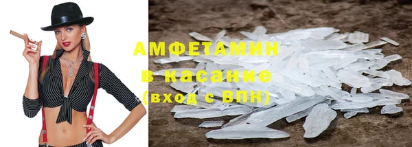 шишки Бородино
