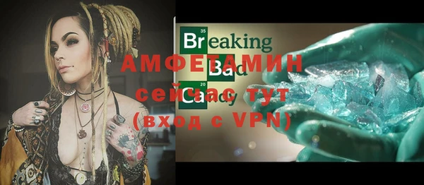 шишки Бородино