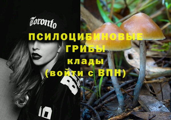 прущие крисы Бугульма