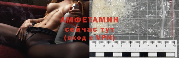 шишки Бородино