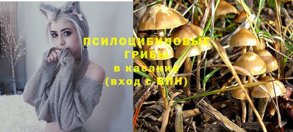 шишки Бородино