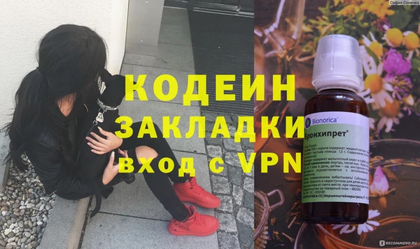 шишки Бородино