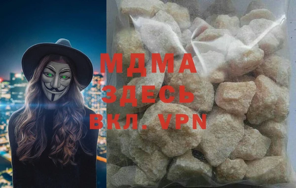 шишки Бородино