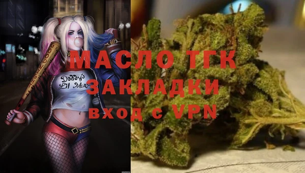 шишки Бородино