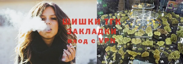 шишки Бородино