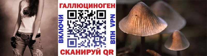 магазин    Южно-Сухокумск  Галлюциногенные грибы прущие грибы 